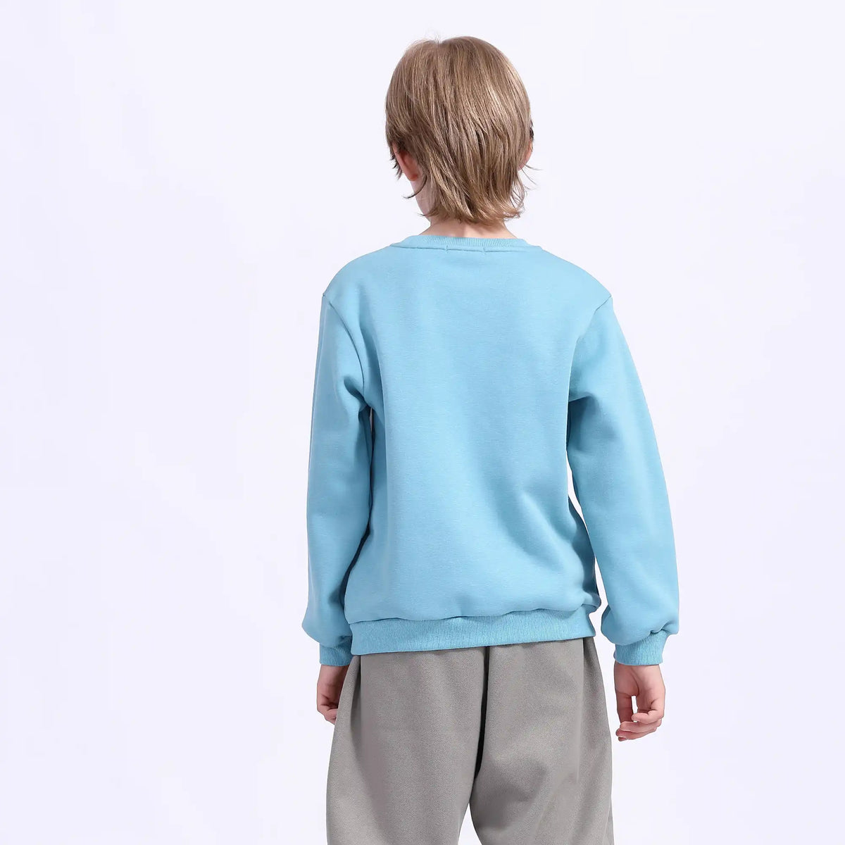 Printed Teenger Pullover For Boys Image