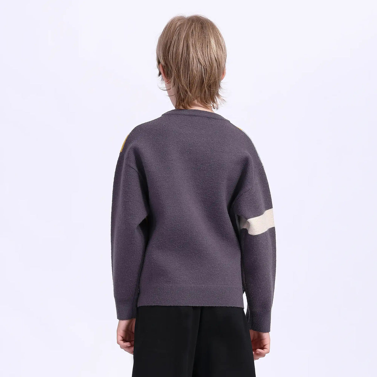 color blocked teenger sweater for boys image