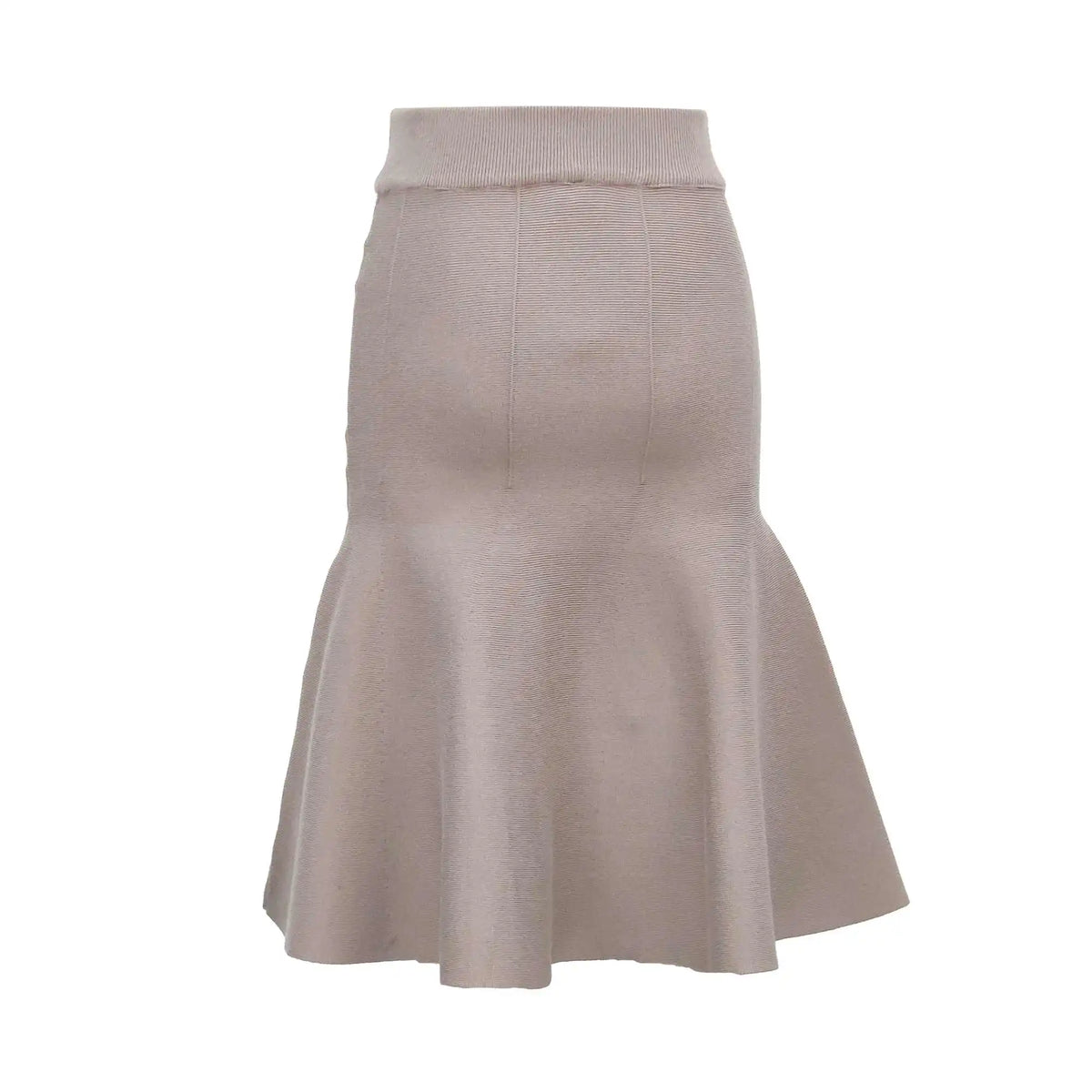 Fish Basic Skirt For Women Image