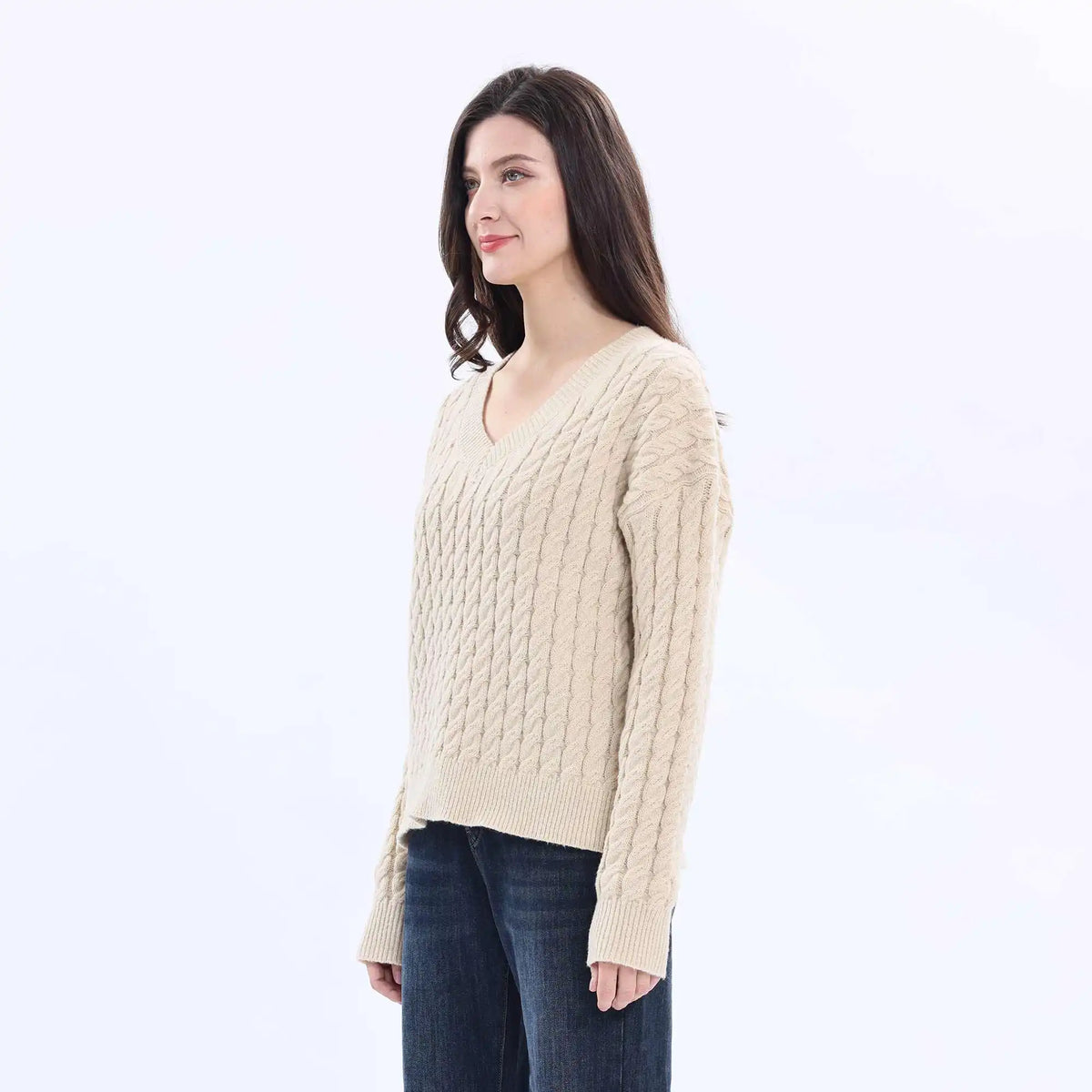 Jacquard Fashion Sweater For Women