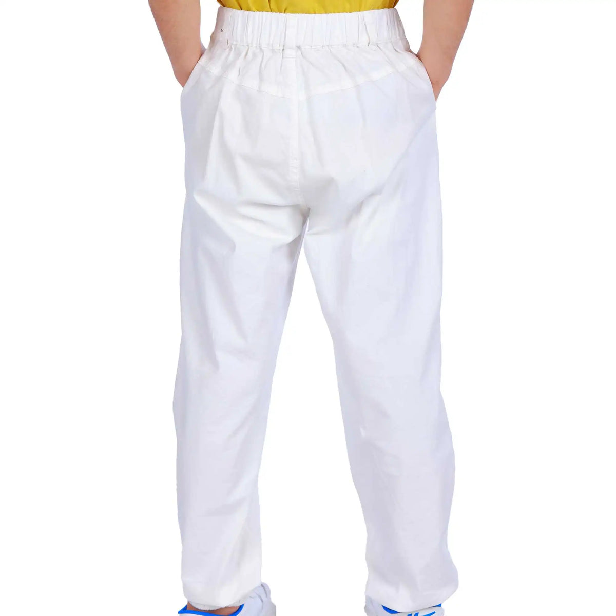 ankle tied elegant pants for boys image