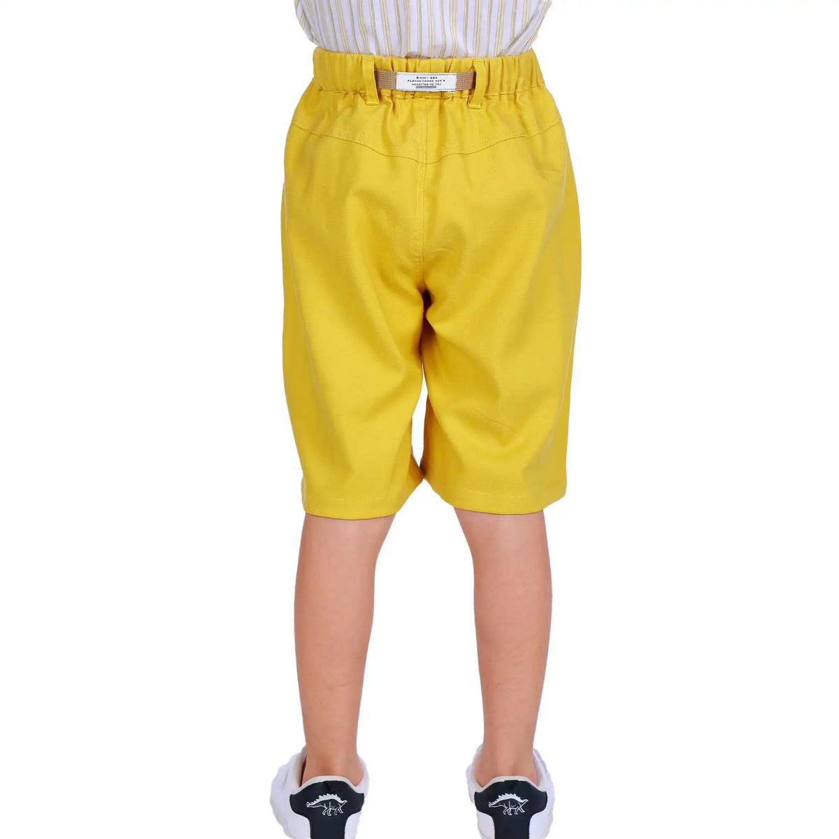 Ordinary Elegant Shorts For Boys 110 | 4-5Y Ginger 110 | 4-5Y,36,45,47.5,78 Image