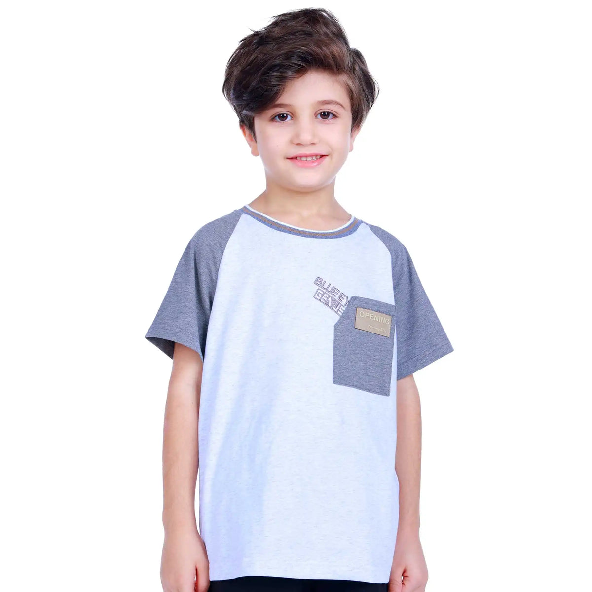 color blocked elegant t shirt for boys image