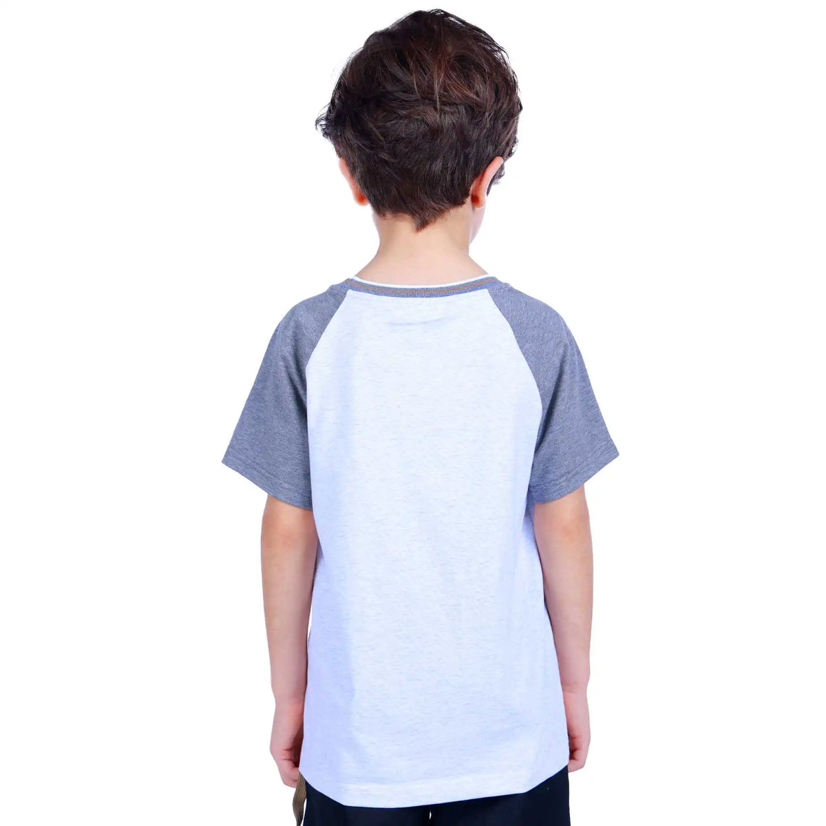 color blocked elegant t shirt for boys image