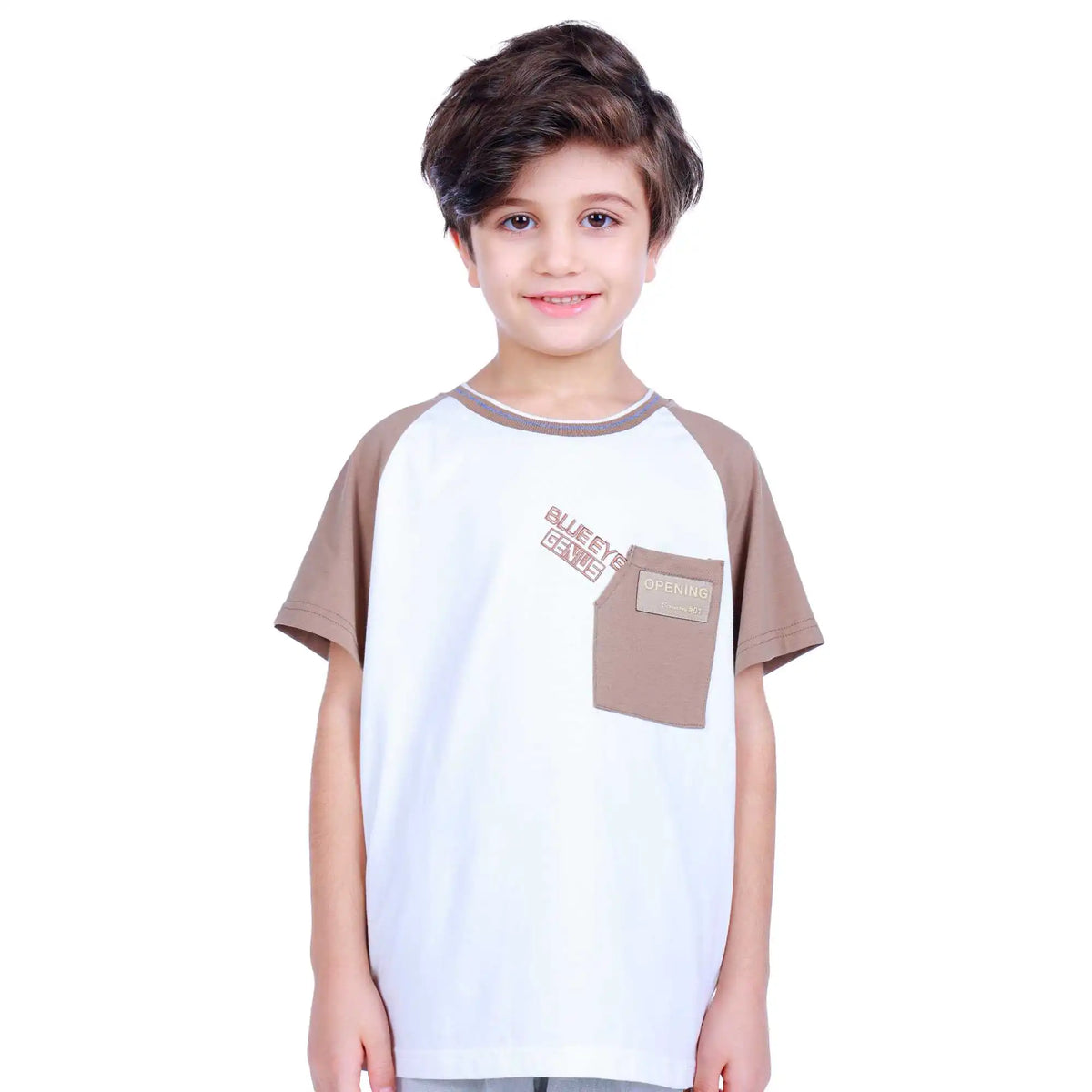 color blocked elegant t shirt for boys image