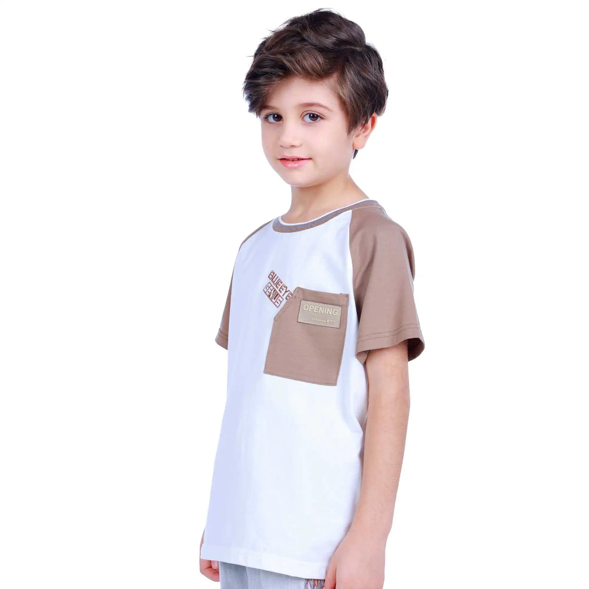 color blocked elegant t shirt for boys image