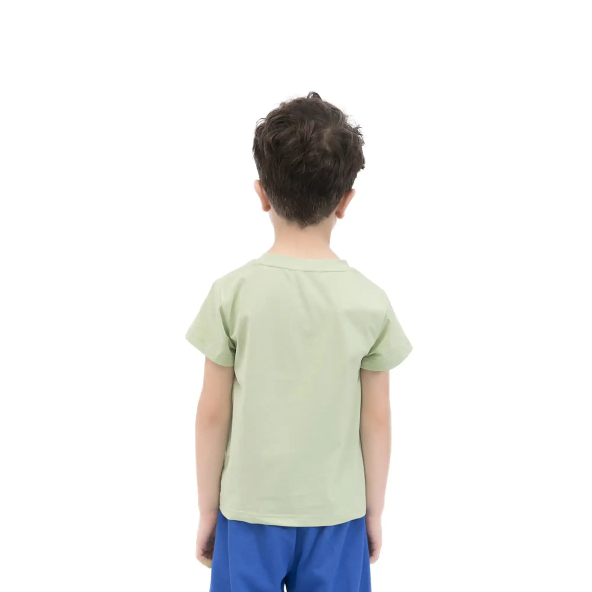 printed casual t shirt for boys image