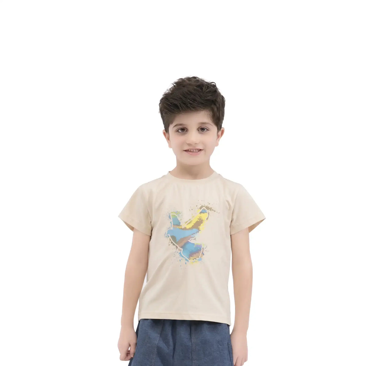 printed casual t shirt for boys image