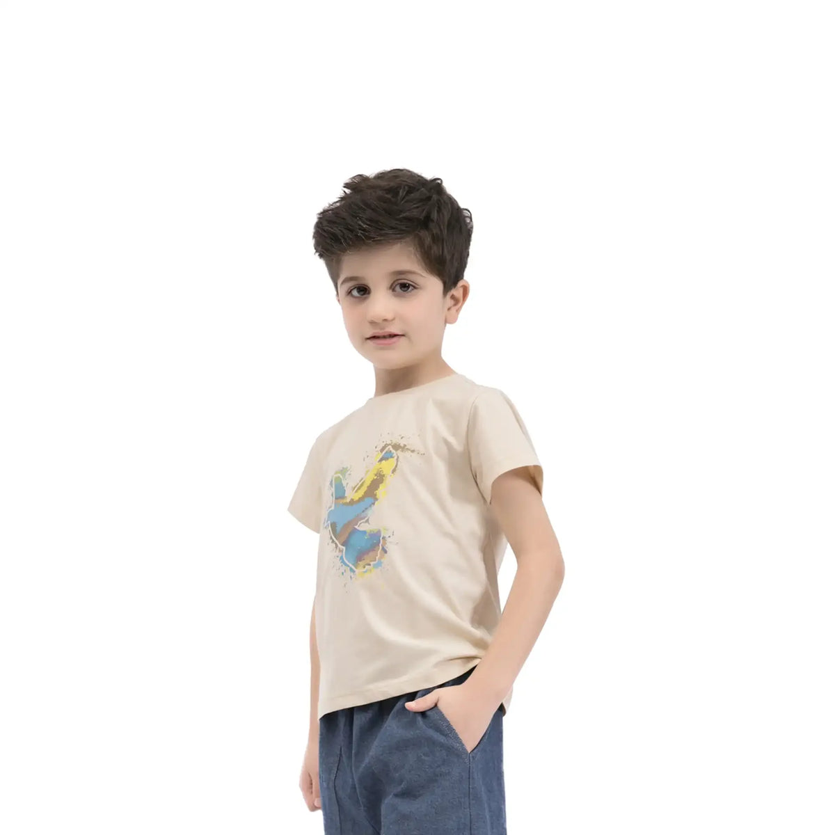 printed casual t shirt for boys image