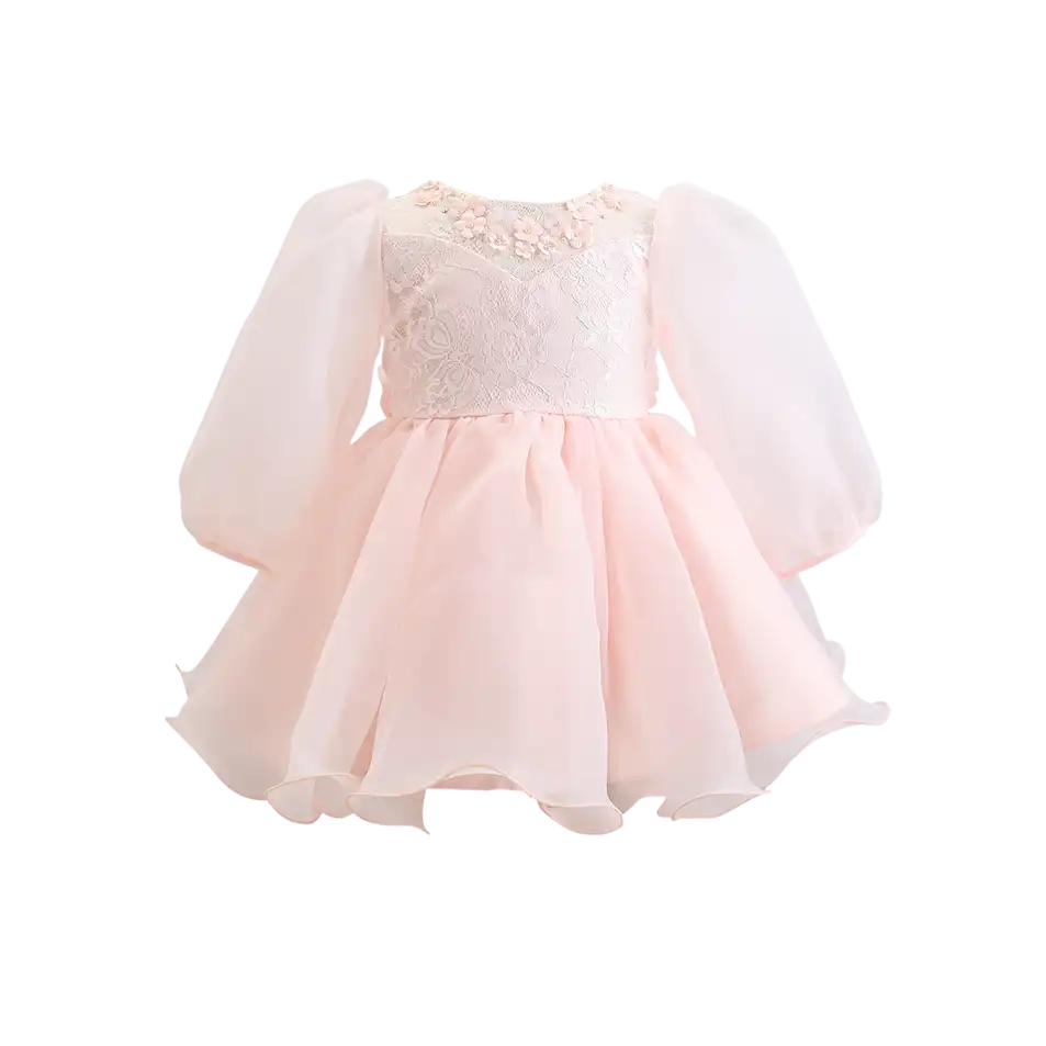 Embroidery Elegant Party Dress For Girls