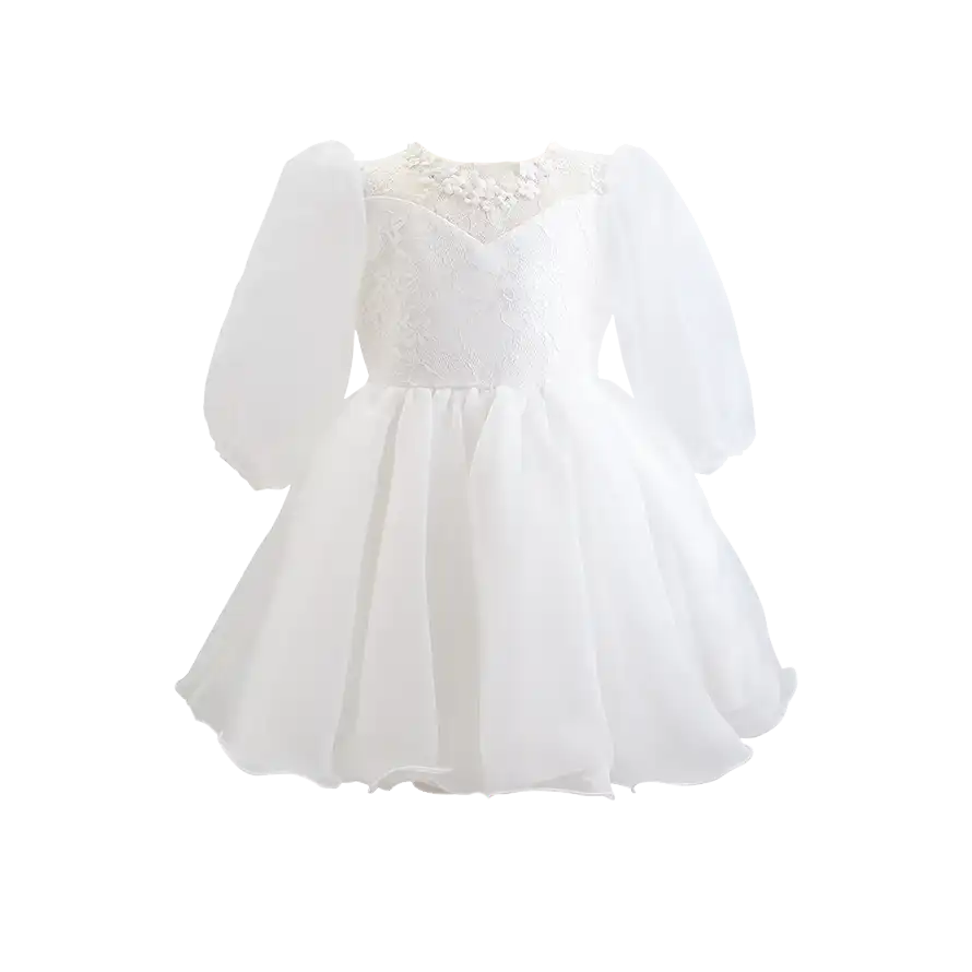 Embroidery Elegant Party Dress For Girls