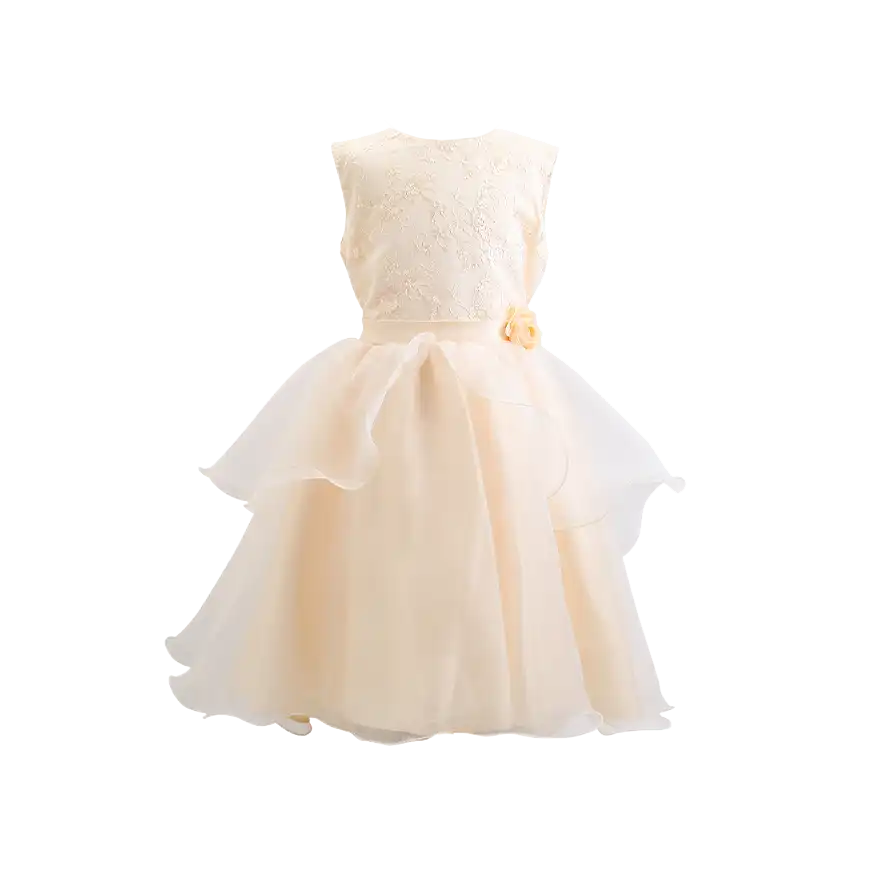 Embroidery Elegant Party Dress For Girls