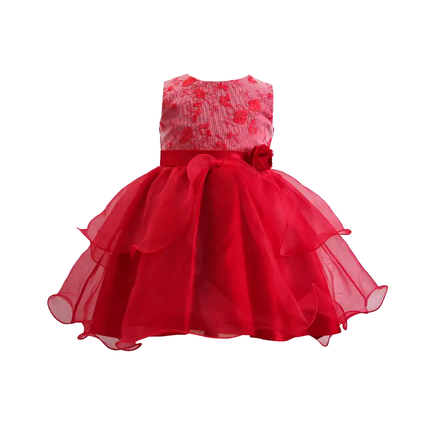 Embroidery Elegant Party Dress For Girls