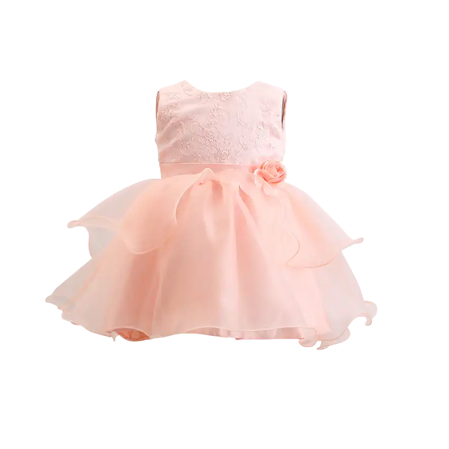 Embroidery Elegant Party Dress For Girls