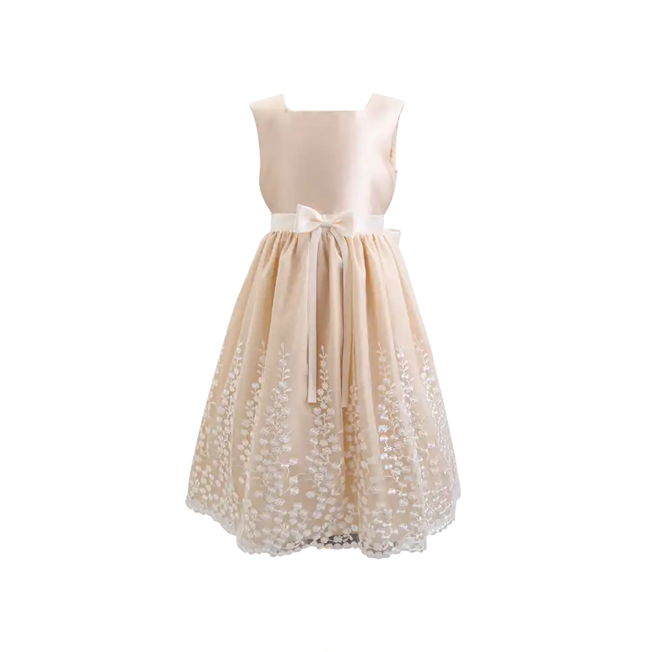 Embroidery Elegant Party Dress For Girls