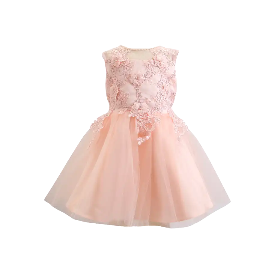 Embroidery Elegant Party Dress For Girls