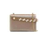Evening Party Bag for Women Free Light Gold Image
