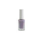 15ml Gray Purple 066 Nail Polish Image