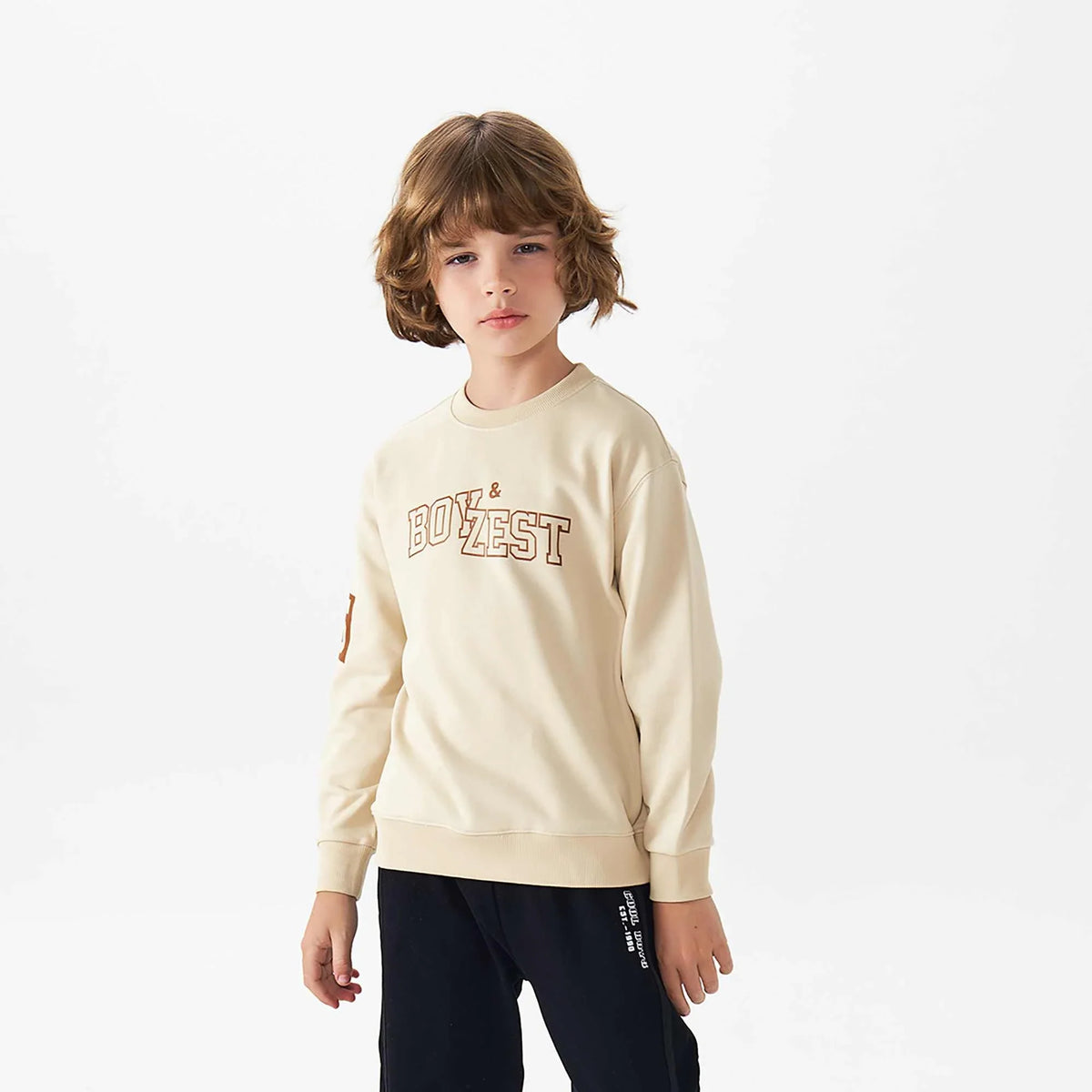 Printed Fashion Pullover For Boys 100 | 3Y Dark Beige 100 | 3Y,40.6,69.8,32.5, Image