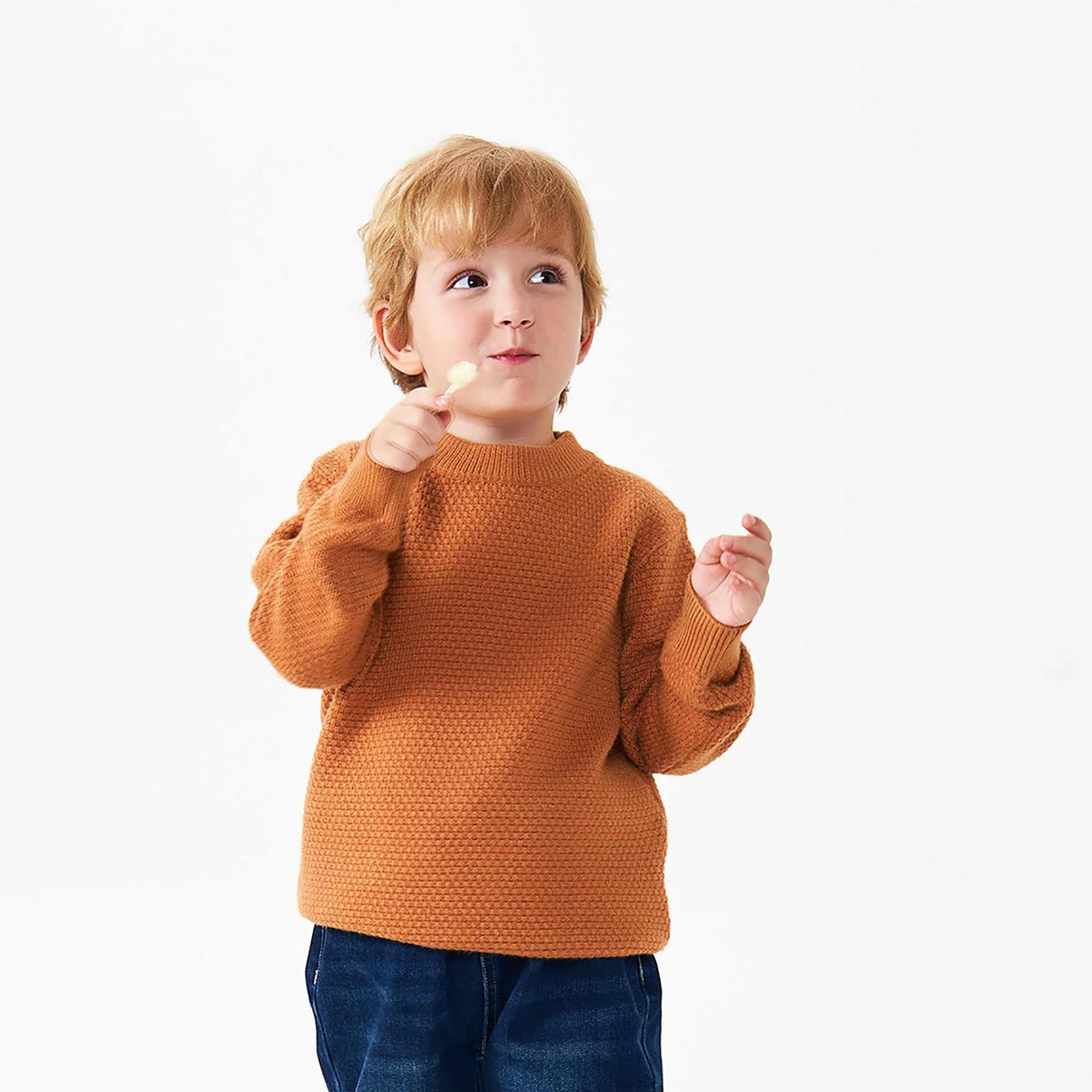 plain fashion sweater for boys image