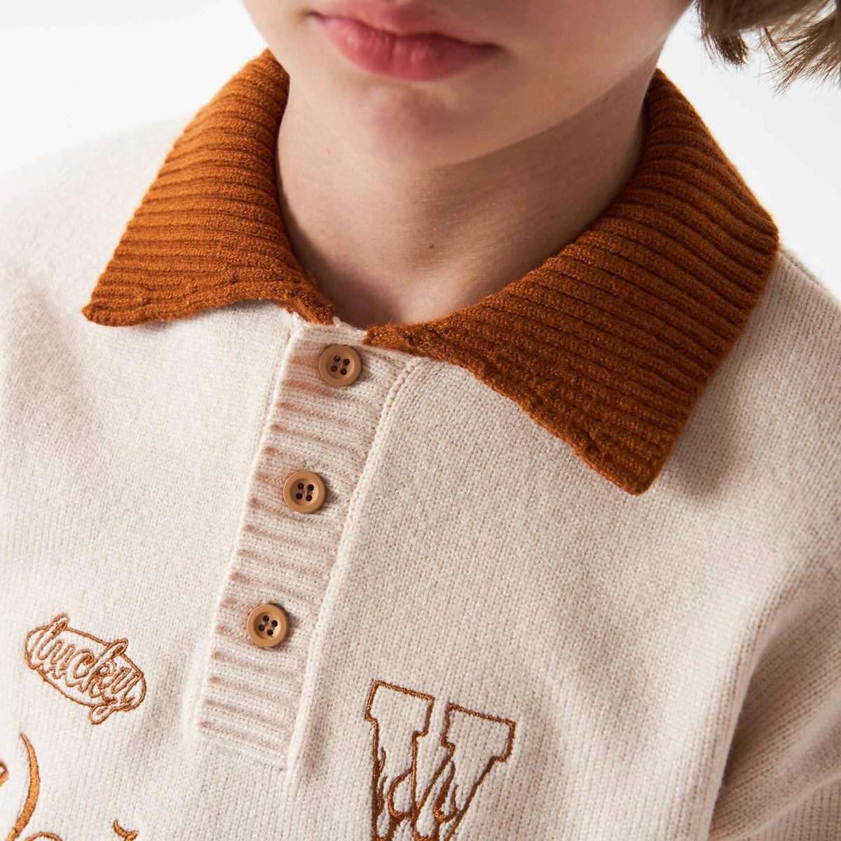 embroidery fashion sweater for boys image